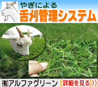 �ڍׂ͂�����