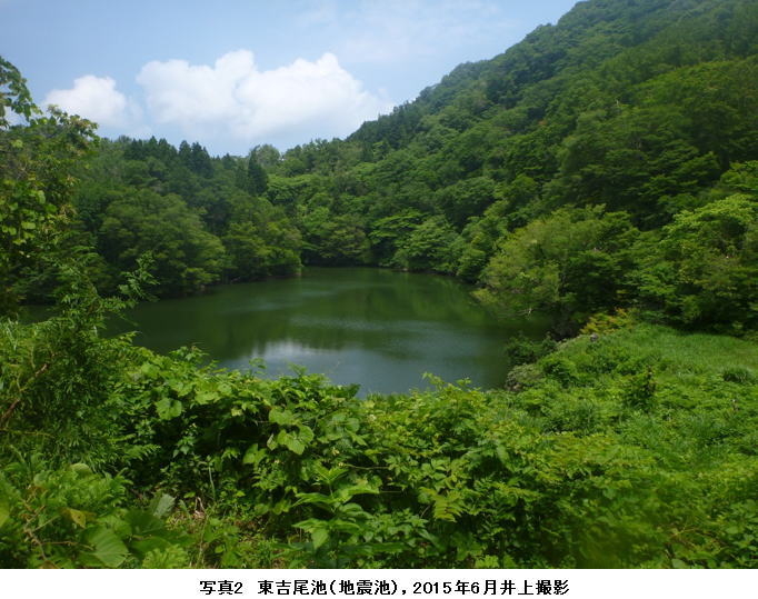 写真2 東吉尾池(地震池),2015年6月井上撮影