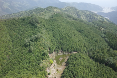 写真10 尾根部の溜池跡地と東西に走る凹地(ドローンを用いて上空から井口撮影)