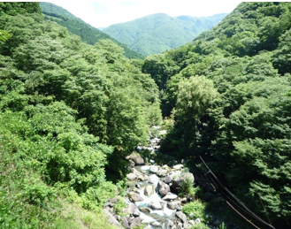 写真9 河道閉塞地点の状況