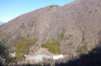 写真12 道路擁壁や河側護岸も変状している