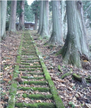 写真3 岩戸山の大岩若宮神社と石段(2009年10月井上撮影)