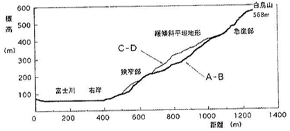 図5 白鳥山から富士川に至る縦断面図(土屋,2000c)