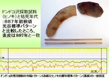 図6 採取試料と光谷標準パターンとの比較
