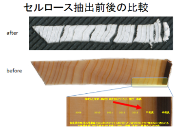 図8 セルロース抽出前後の比較