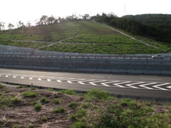 写真11 地層傾斜に併せて切り直された道路法面