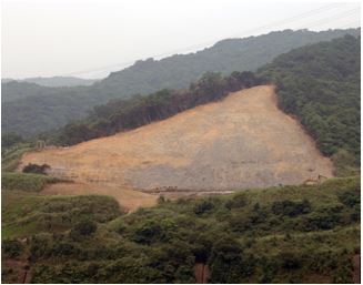 写真15 復旧工事中 2010年5月06日
