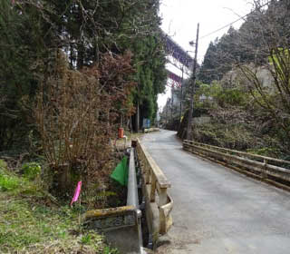 写真5 美女谷橋と中央高速道路橋