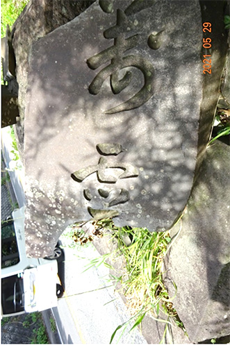 �ʐ^5