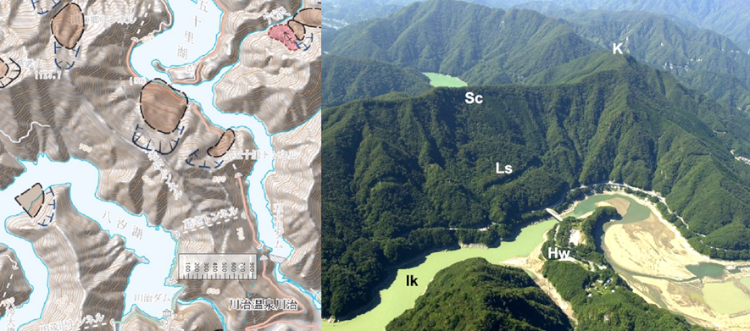 図5
