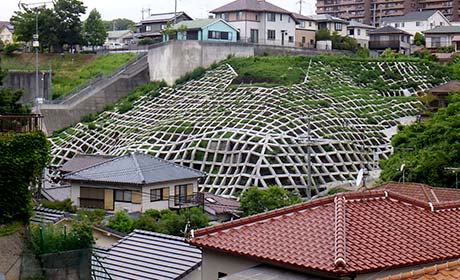 写真の説明