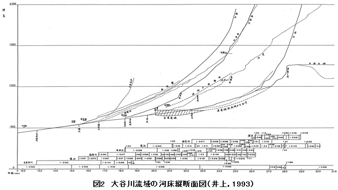 図2 大谷川流域の河床縦断面図(井上,1993)