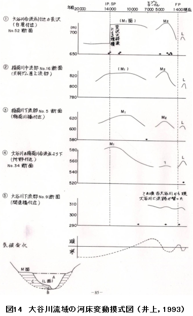 図14 大谷川流域の河床変動摸式図(大石ほか,1986)