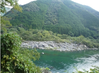 写真2 仁淀川右岸の巨礫岩塊が多く存在する台地(対岸の県道から望む,2008年12月井上撮影)