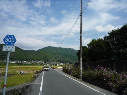 写真10 越知盆地の電信柱の洪水水位標識(2008年10月井上撮影)
