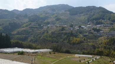 写真12 横畠東の地すべり地形(2011年10月井上撮影)