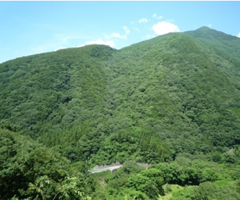 写真5 対岸の林道から見た崩壊地形(森林に覆われ崩壊地形は良く分からない)