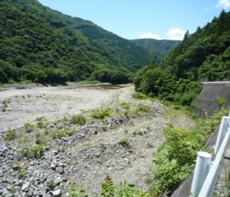 写真6 天然ダムの堆砂敷(2009年10月井上撮影)