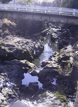 写真3 入山瀬溶岩流上の潤井川の河床