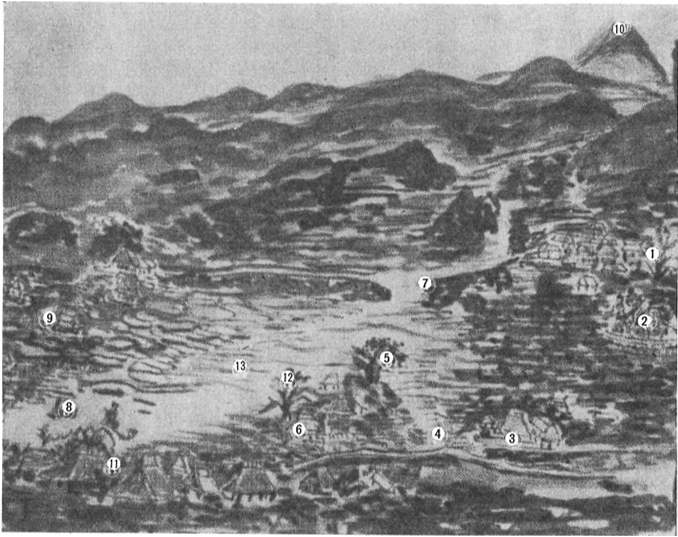 写真2 郷の坪大洪水(大島町役場,1994)