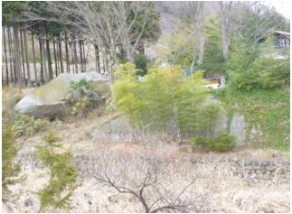 写真7 大鹿川に現存する巨石(写真6より小)(2019年4月,井上撮影)