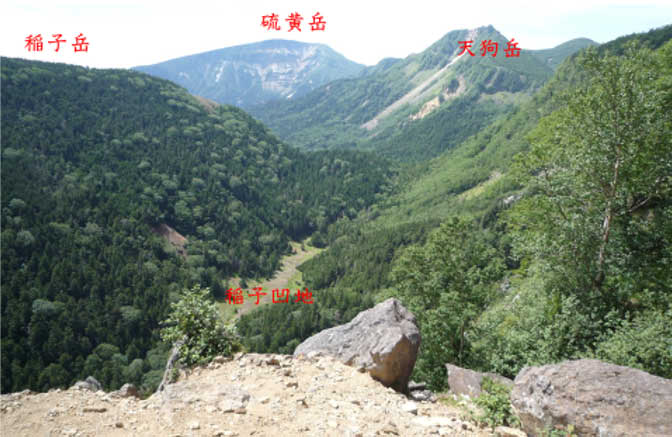 �ʐ^5�@�j���E�`���R�������q���n�A�V��x�E�����x��]�ށi���2010�N7���B�e�j
