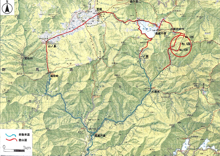 図1