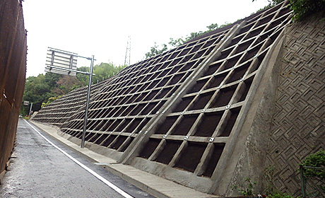 法面完成写真