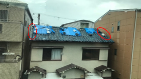 �ʐ^-1�i�E�[�̃V�[�g�͔j��j