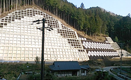 写真の説明