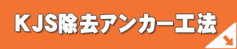 KJS�����A���J�[�H�@