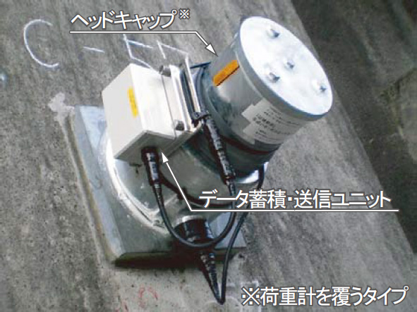 �菇6