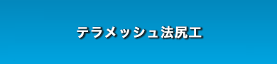 �e�����b�V���@�D�H