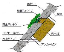 �J�b�g�^�C�v �b�R�^