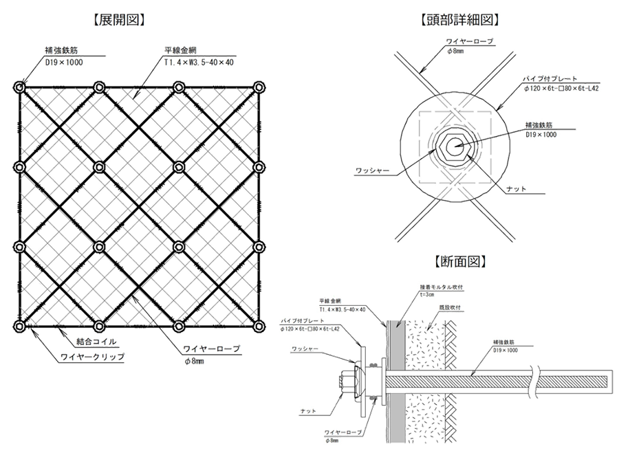 �T�v