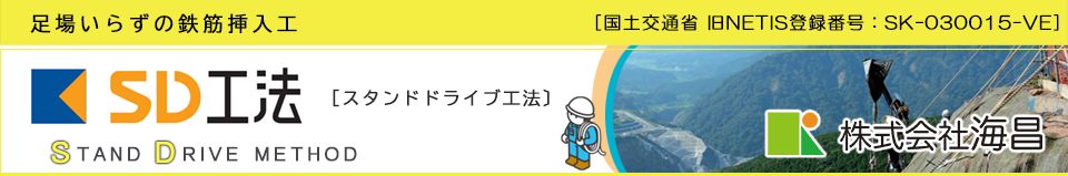 SD�H�@�i�X�^���h�h���C�u�H�@�j�i������S�ؑ}���H�j�̊�����ЊC��
