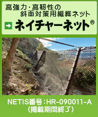 �u�l�C�`���[�l�b�g�v