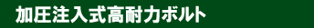 �������������ϗ̓{���g