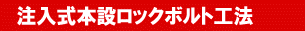 �ȈՂQ�d�ǎ����b�N�{���g
