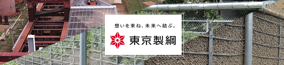 TS�K�[�h�t�F���X�i���Α΍����i�j�ABSS�H�@�i�y���΍����i�A���̑����i�j�̓������j�������