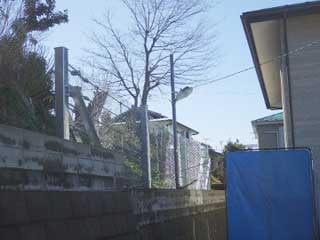 07_�{�H�ʐ^(�_�ސ쌧)