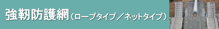 �ċ��t�F���X